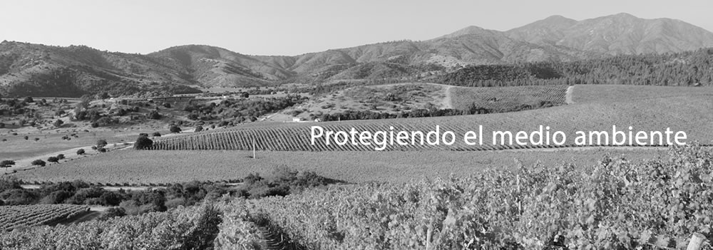 Protegiendo el medio ambiente