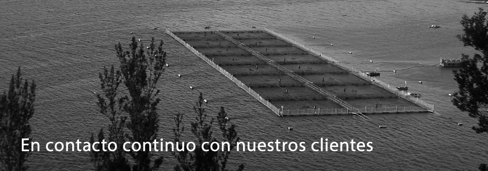 Protegiendo el medio ambiente