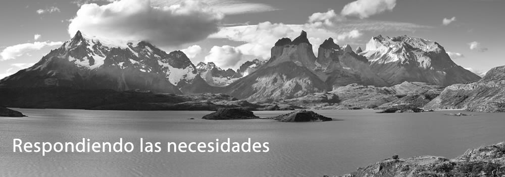 Respondiendo las necesidades